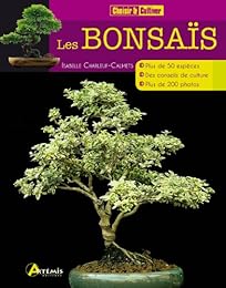 Les  bonsaïs