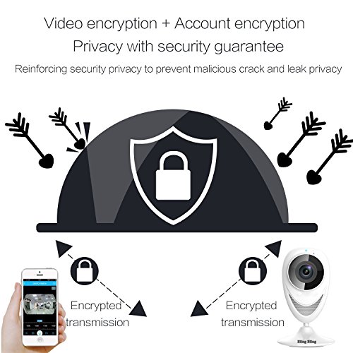 960P-Home-Camera-Indoor-Wireless-IP-Security-Surveillance-System-with-Motion-Detection-and-Night-Vision-for-Front-Porch-Pet-House-Office-and-Nanny-Baby-Monitor