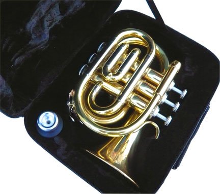 Труба музыкальный инструмент маленьких размеров. Труба корнет. Корнет 2 труба. Michael ct-420 - корнет. Валторна баритон.