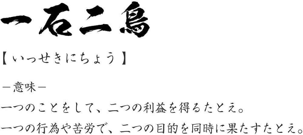 Amazon Co Jp 2 Birds Onichi Original T Shirt Calligrapher Writing Printed T Shirt 4 Ligams Men S Women S Kids Clothing Accessories