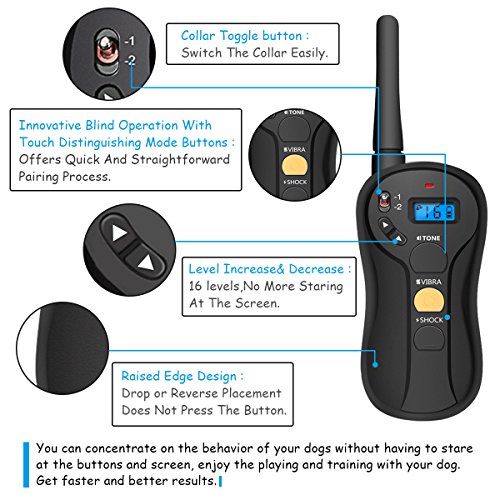 focuspet dog training collar