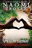 A Christmas Rumspringa Romance by Naomi Troyer