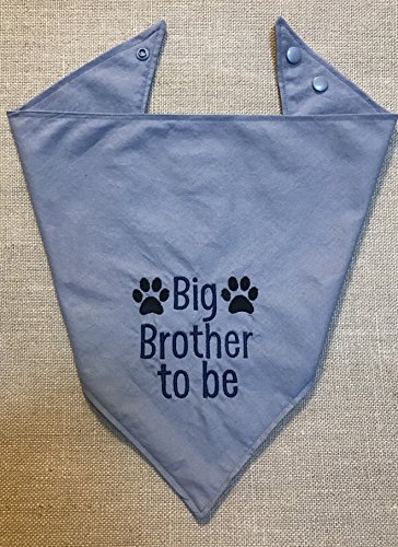 Big Brother To Be Grey Dog Bandana/Pregnancy Announcement Snap Closure Bandana/Announcement Dog Scarf/Dog Neck Wear