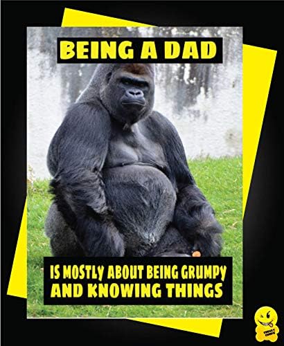 Funny Father's Day Card For Dad Daddy Stepdad For Him Birthday Card - Grumpy and Knowing Things F15, Multi, 5x7