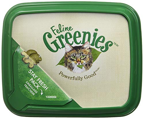 2 Feline+Greenies+Dental+Treats+Holiday