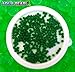 8oz -Almost 15,000 Jelly BeadZ® Water Bead Gel - GREEN- Heat Sealed Bag- Water Pearls Gel Beads- Wedding & Event Centerpieces