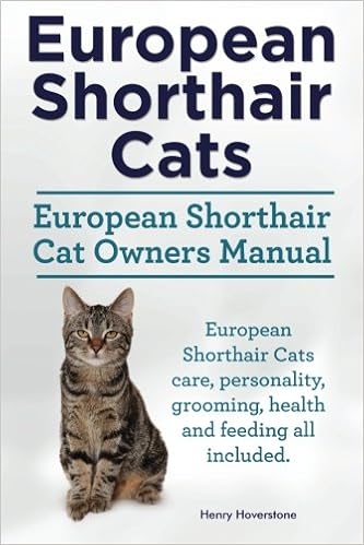 European Shorthair Cats European Shorthair Cat Owners Manual