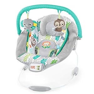 Bright Starts Comfy Baby Bouncer Soothing Vibrations Infant Seat – Taggies, Music, Removable-Toy Bar, 0-6 Months Up to…