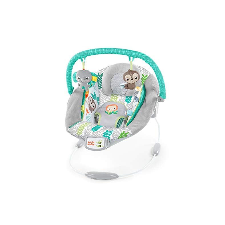 Bright Starts Comfy Baby Bouncer Soothing Vibrations Infant Seat – Taggies, Music, Removable-Toy Bar, 0-6 Months Up to…