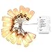 Dailyart 40LED String Light Starry Light for Gardens, Home, Wedding, Christmas Party, Battery-Powered (White)