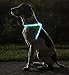 ZNFSZ - Multicolor LED Illuminated, Reflective Dog Harness (X-Large)