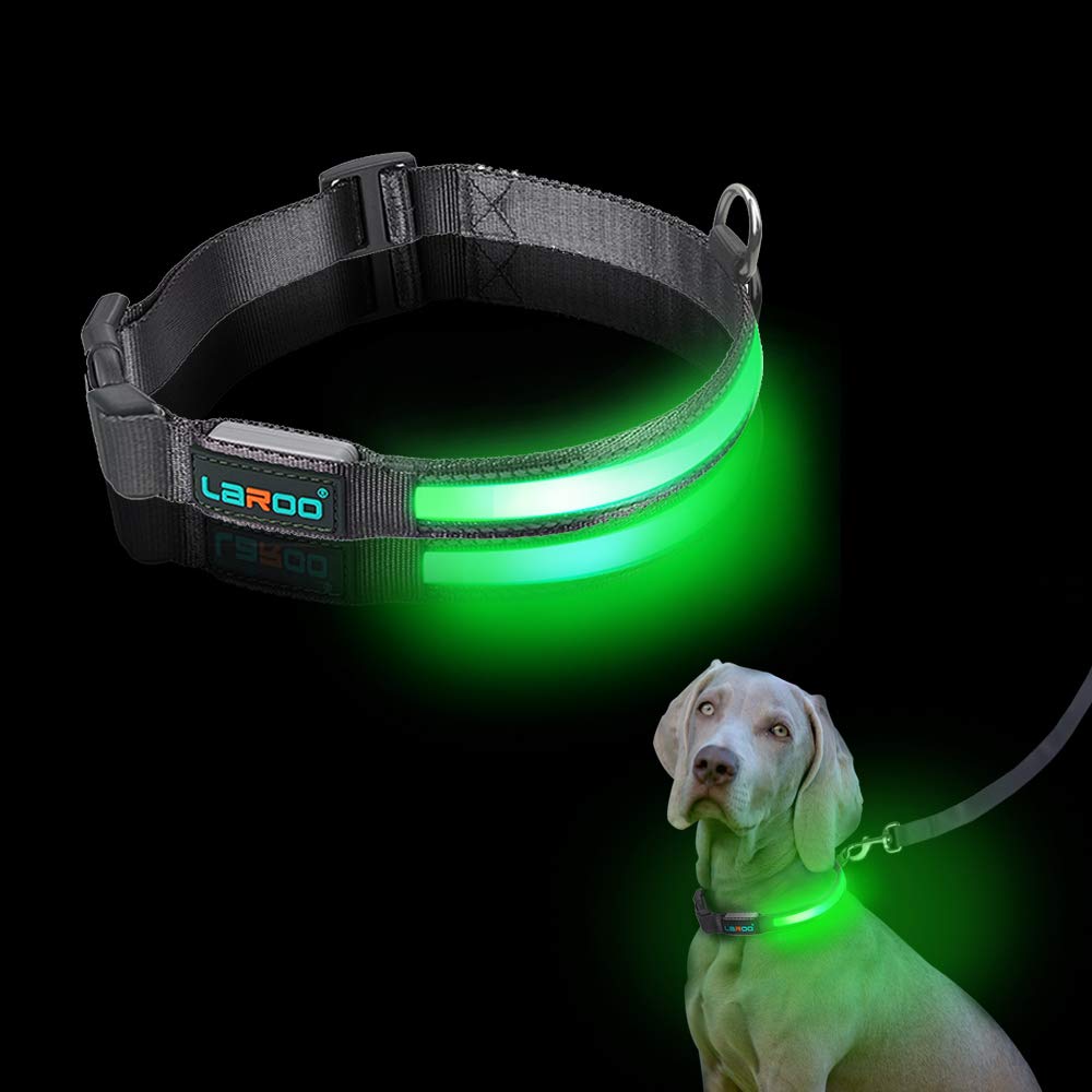 flashing led dog collar