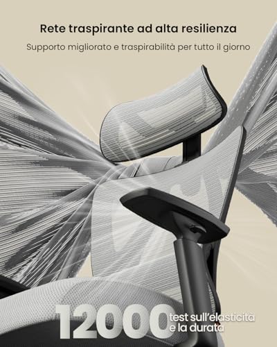 ProtoArc EC100 Ergonomic Office Chair - Desk Chair with 10cm Spring Cushion, Lumbar Support, Adjustable Arms and Headrests, Mesh Swivel Chair for Home and Office, Grey