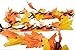 CraftMore Lighted Fall Leaf Garland 9 Feet