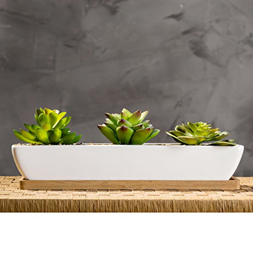 MyGift Potted Artificial Succulent Plants and Rock Fillers Fake Plant