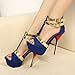 Wotefusi Fashion Women Platform Pump Stiletto High Heels 5.5
