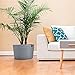DENJA & CO Large Blanket Basket for Living Room - Decorative Woven Baskets for Storage | Cotton Rope Large Baskets for Blankets, Pillows, Toys, or Laundry | Light Gray (17.7