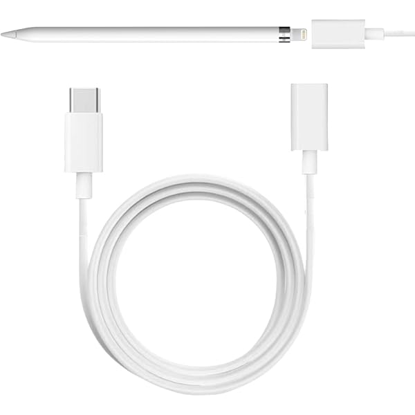 未開封　Apple Pencil　第1世代　lightning 　USB-C Amazon.com: Apple Pencil 1st Generation Adapter(2 Pack) Lightning