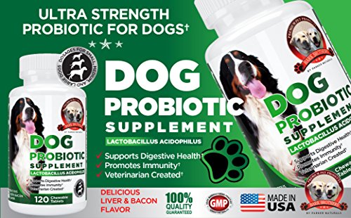 Bark Brothers Probiotic Supplement for Dogs For Improved Digestion & Better Health. Contains Premium Lactobacillus Acidophilus, Glucosamine, Chondroitin, Lipase. 120 Delicious Liver & Bacon Chewables