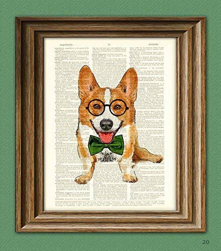 corgi with glasses