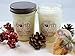 EarthGlo Winter Candles - Scented Soy Candle Set In Gift Box - Fall Spice And Cranberry Harvest - Perfect Holiday Scents With Pumpkin And Cinnamon - Perfect Soy Candles For Fall And Christmas
