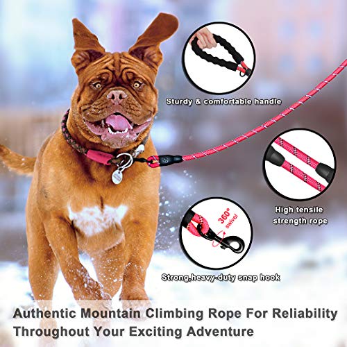 BARKBAY Dog leashes for Large Dogs Rope Leash Heavy Duty Dog Leash with