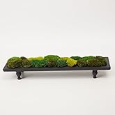 prefleur Only Moss No Bowl 4 Color Mix Pack Preserved Pole Moss Pillow Bun Cushion Natural Decorative Green DIY Kit Art Wall 