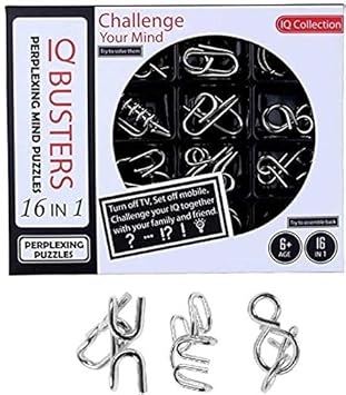 Metro Toys & Gift Metal Puzzles Brain Teaser Set Iq Busters Perplexing Mind Puzzels for Kids Adult Challenge 16 Pieces (Design May Vary)
