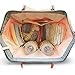 Land diaper bag multi-function waterproof travel backpack nappy bags insulated compartment pockets wipes pocket (Gray)