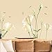 Kaimao Beautiful Lily Flower Wall Stickers Art Decal Murals Removable Wallpapers for Home Decoration