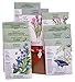 "The Organic Herb Garden" 10 Organic Seed Packets By Botanical Interests in a Gift Box