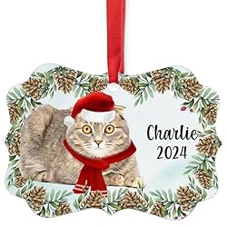 Sable Scottish Fold Cat Christmas Ornament 2024