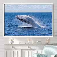 Framed Canvas Wall Art Swimming Free Cool Group Marine Life Multicolor Nautical Photography Realism Relax/Calm Whale - 16x24 inches