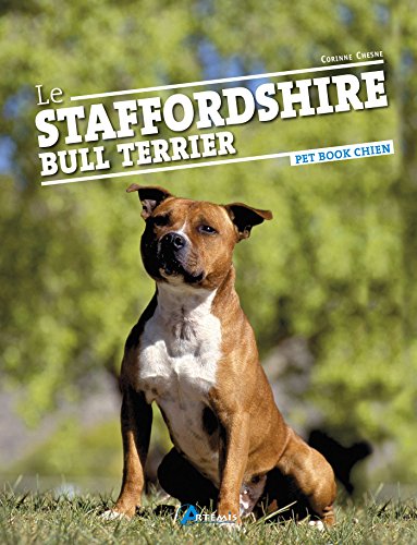Le Staffordshire Bull Terrier by 