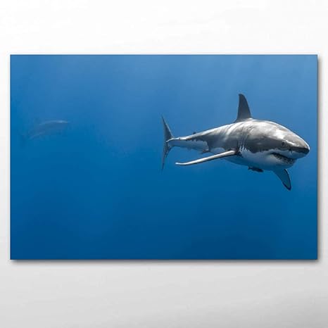 Amazon ウォールアート絵画動物海の生活サメ水中プレデター壁アートポスターリビングルームの装飾のためのキャンバスプリント 50 70センチフレームなし ウォールステッカー オンライン通販