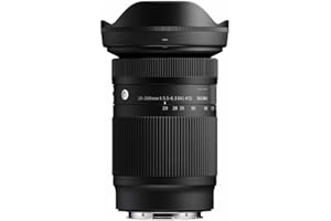 20-200mm F 3.5-6.3 DG for Sony E Mount