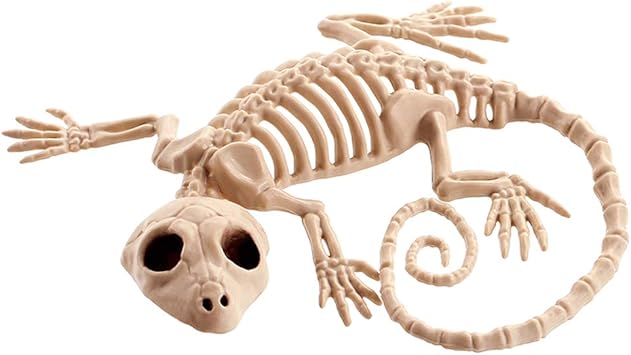 C S Haus Eidechse Skelett Spukhaus Tier Skelett Horror Bar Film