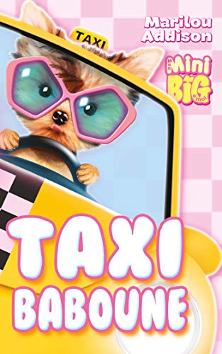 Taxi Baboune by 
