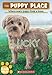 Lucky (The Puppy Place #15)