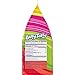 Laffy Taffy Assorted Minis Candy, 48 Ounce
