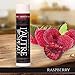 SPF 15 Luxury Lip Balm by L'AUTRE PEAU | Passion Fruit, Pomegranate, Raspberry & Spearmint Flavors - Special 4 Pack Gift Set | Moisturizer with Sun Protection | The Indulgence Set