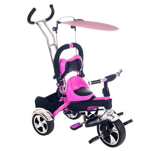 Lil Rider 2 in 1 Stroller Tricycle Child Safe Trike Trainer