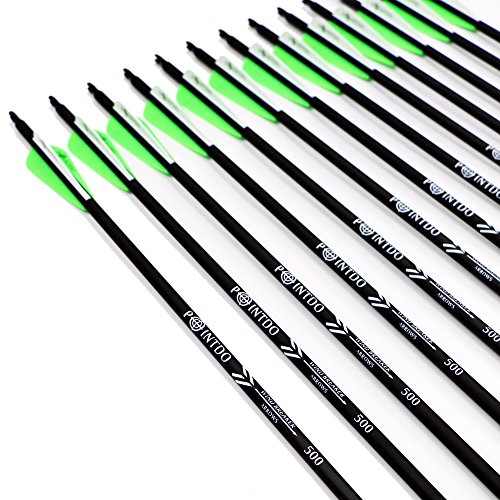 Pointdo 12pcs 30Inch Archery Carbon Arrow Hunting And Practice Targeting Arrow with Replaceable Tips and 3" Light Vanes For Recurve Bow& Compound Bow