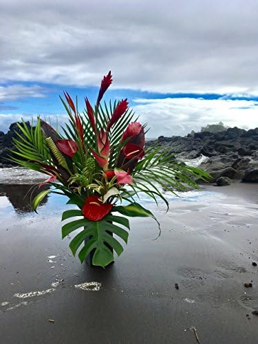 Extra Large Tropical Surprise Fresh Flower Arrangement - GROWN IN HANA, HAWAII TO ORGANIC STANDARDS - Includes Bold Tropical Flowers & Greenery - A Total of 27 Stems!