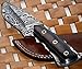 Poshland BC-69 Handmade Damascus Steel 5.50 Inches Full Tang Skiner Knife