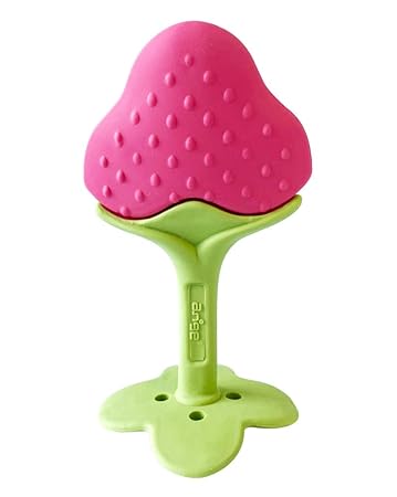 fruit teethers amazon