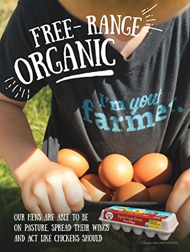 1 Organic+Valley+Free+Range+Large+Brown