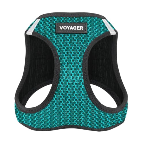 Voyager Step-in Air - Arnes de Malla para Cualquier Tiempo, Reflectante, para Perros pequenos/medianos y Gatos, Evita tirones, fijacion Segura con Hebilla, Anillas en D Dobles, 2 Tonos turquesas, XS
