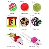 WeFine-Cat-Toys-21-Pcs-Kitten-Toys-Cat-Interactive-Toys-Set-for-Indoor-Cats WeFine Cat Toys 21 Pcs Kitten Toys Cat Interactive Toys Set for Indoor Cats