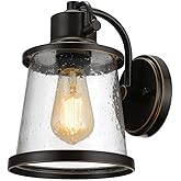 Globe Electric 44127 Charlie 1-Light Outdoor Indoor Wall Sconce, LED Bulb Included, Oil Rubbed Bronze, Clear Seeded Glass Sha